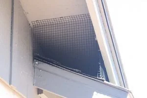 setting up a net to avoid pigeons on the roof