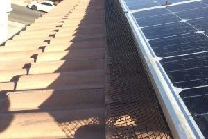 setting up a net to avoid pigeons on the roof